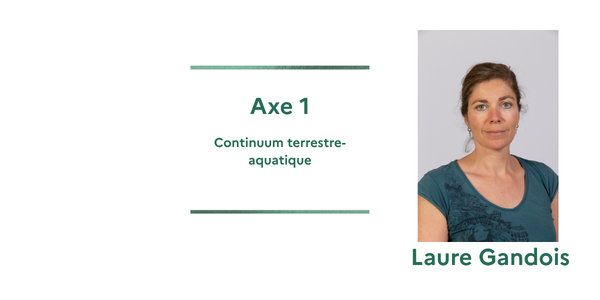 CarboNium & Axe 1 Animation(3).png