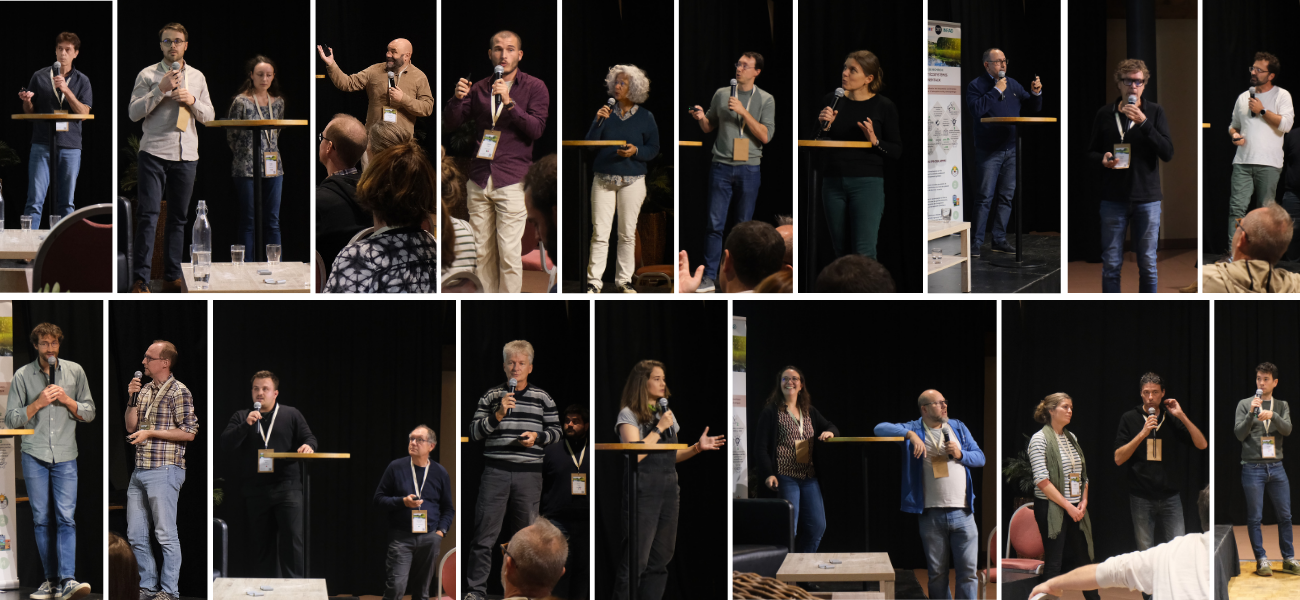 Montage Photos (1).png