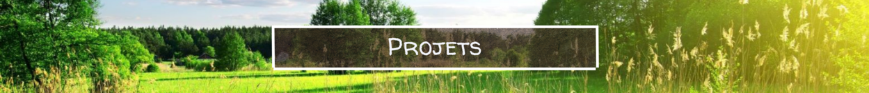 Acceuil projets Acceuil projets