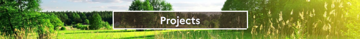 Projects Projects