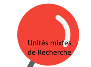 Unit&eacute;s mixtes de recherche