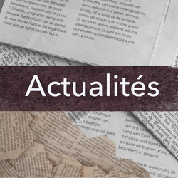 Vignettes Actu .png