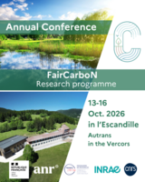 STD JA26 FairCarboN (5).png