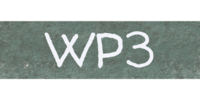 WP3