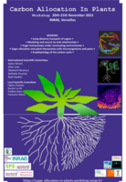 Affiche 2023 Carbon Allocation In Plants Affiche 2023 Carbon Allocation In Plants