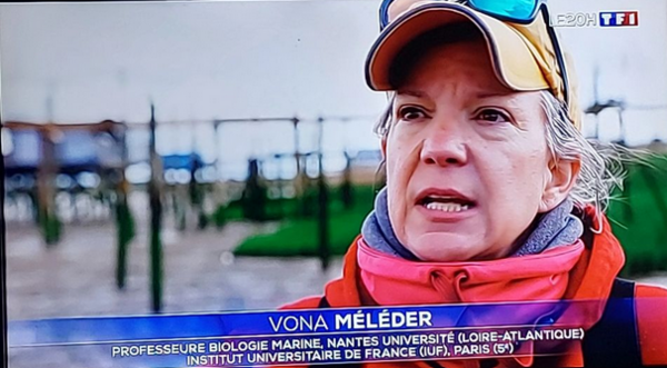 Vona Meleder.png