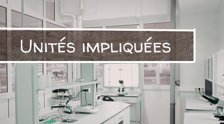 ALAMOD - Walter (14).png ALAMOD - Walter (14).png