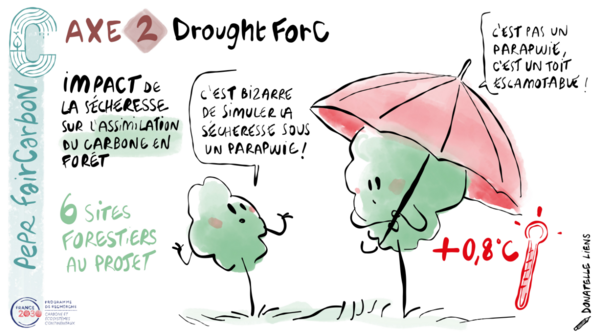 Drought-For C dessin VF