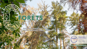 b4617df4f8d9-visuel-slides-ecosyt-forets-.png
