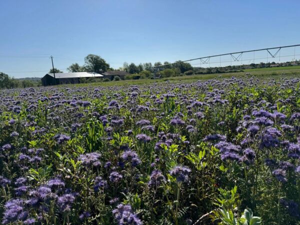 1746469477010.jpg 1746469477010.jpg