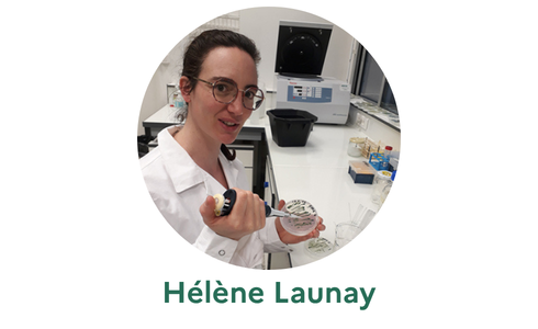 H&eacute;l&egrave;ne Launay / CO2_CMPhi