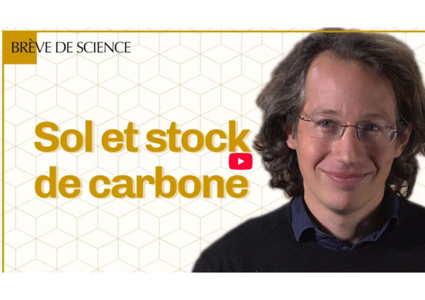 CNRS Pierre Barré Sol et stock de C .png CNRS Pierre Barré Sol et stock de C .png