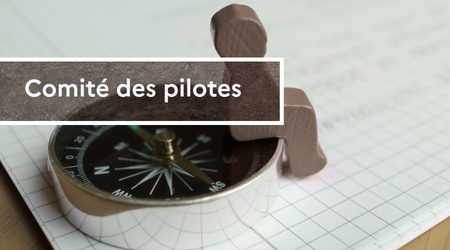 Comité des pilotes Comité des pilotes