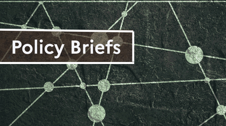 Policy Briefs (1).png
