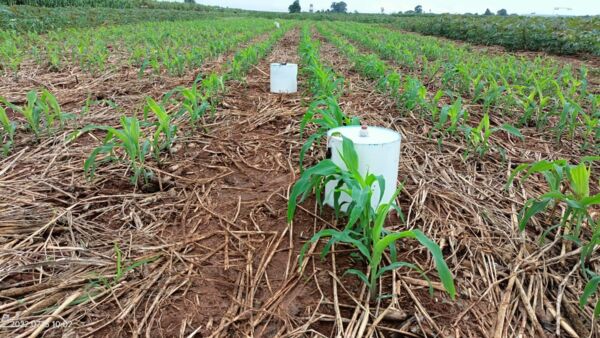 1773644994463.jpg 1773644994463.jpg