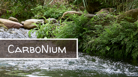 CarboNium - Walter CarboNium - Walter