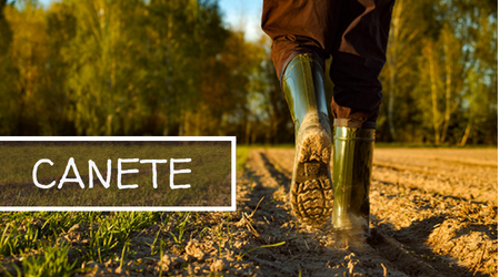 CANETE - Walter CANETE - Walter
