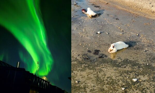 PEACE 10.jpg PEACE 10.jpg