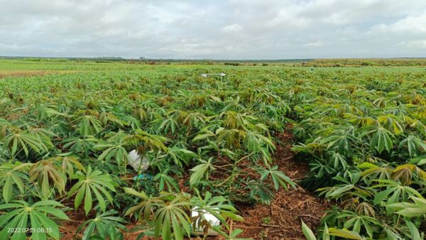 1773644997370.jpg 1773644997370.jpg