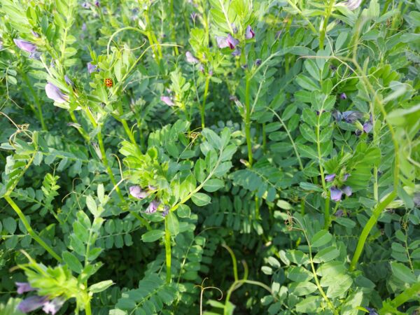 20210421_091403.jpg 20210421_091403.jpg