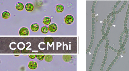 CO2_CMPhi - Axe 3.png