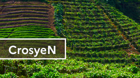 CrosyeN / PC4 / Axe 2 & 3 CrosyeN / PC4 / Axe 2 & 3